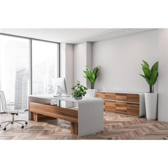 Fake Succulent Plant in Black Clay Pot Faux Greenery Decor for Shelf Desk Home - Picture 2 of 7